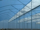 Plastic coatings for greenhouses 